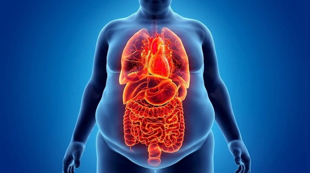 Obesity and Healthspan