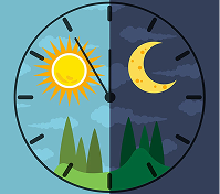 Circadian rhythm