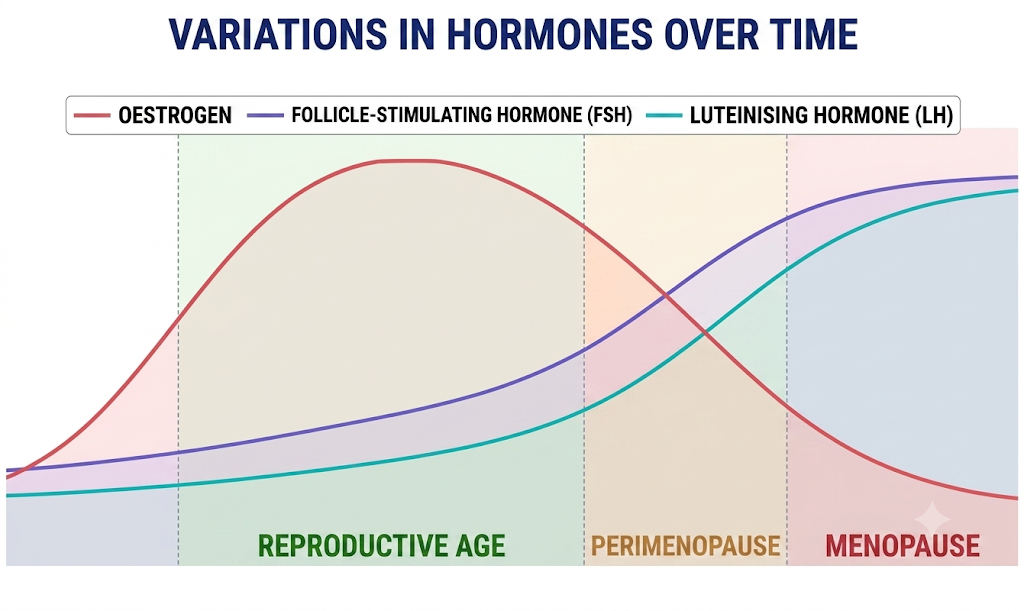 Diagram showing variations in oestrogen, follicle-stimulating hormone, and luteinising hormone over the female reproductive lifespan